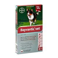 Bayvantic vet 1250/250 mg 4 x 2.5 ml paikallisvaleluliuos koirille 10–25 kg