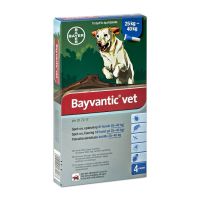 Bayvantic vet 2000/400 mg 4 x 4 ml paikallisvaleluliuos koirille 25–40 kg