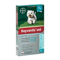 Bayvantic vet 500/100 mg 4 x 1 ml paikallisvaleluliuos koirille 4–10 kg