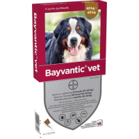 Bayvantic vet 3000/600 mg 4 kpl paikallisvaleluliuos koirille 40–60 kg